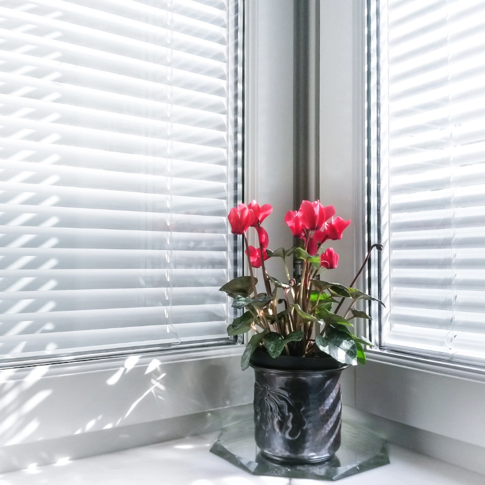 Žaluzie na míru včetně zaměření a montáže, Praha 15