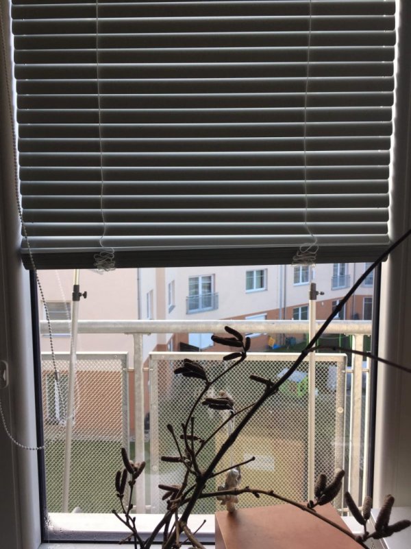 Interiérová horizontální žaluzie RP1