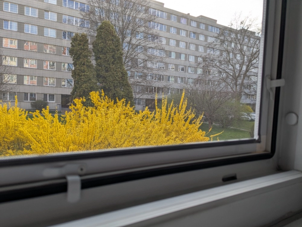 Okenní sítě proti hmyzu na plastová a eurookna