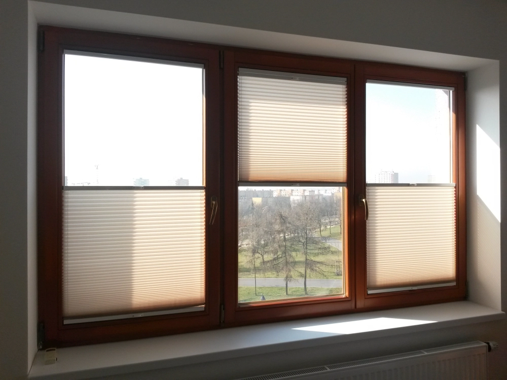 Výprodej - Plisé roletky